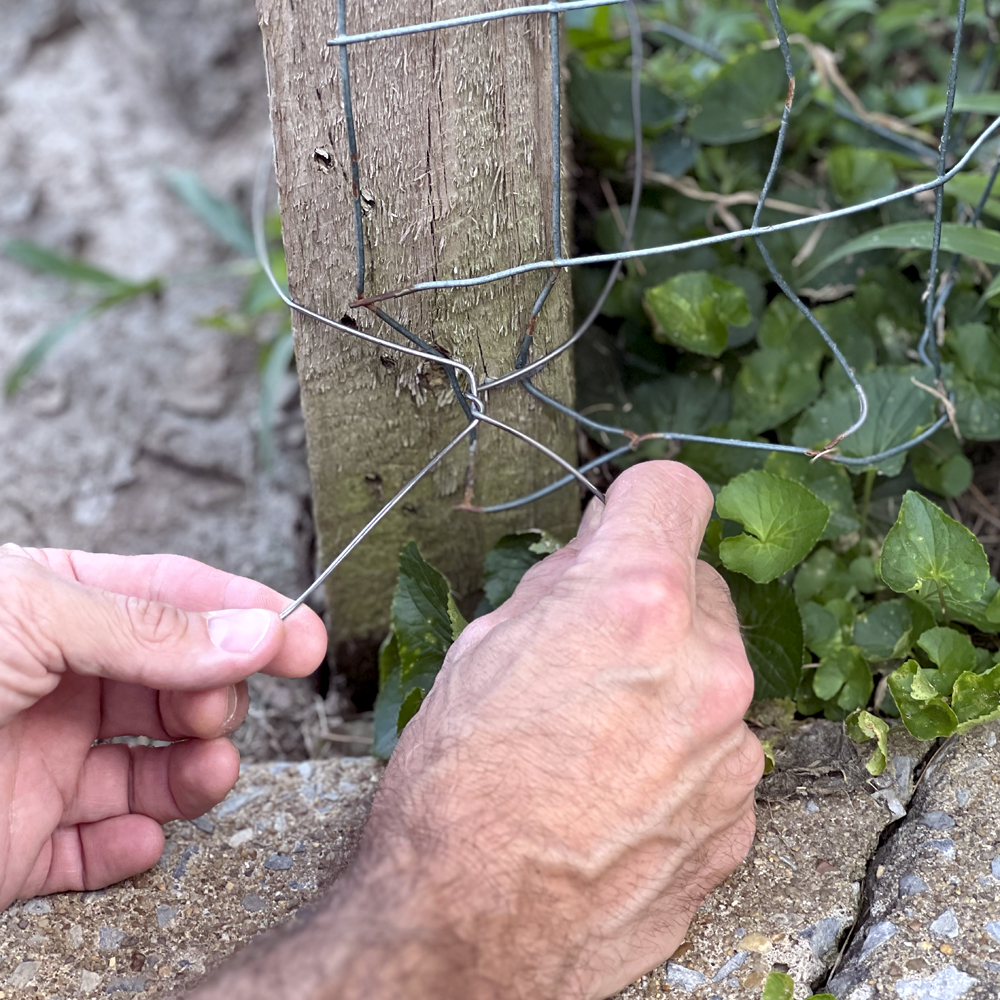 Galvanized Steel Utility Wire - Image 3
